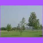 Lake 3.jpg
